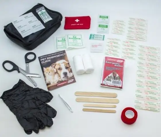 The Best First Aid Kits for Your Needs 27 Pet First Aid Kit