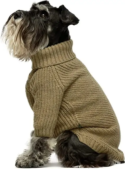 how are dog sweaters supposed to fit