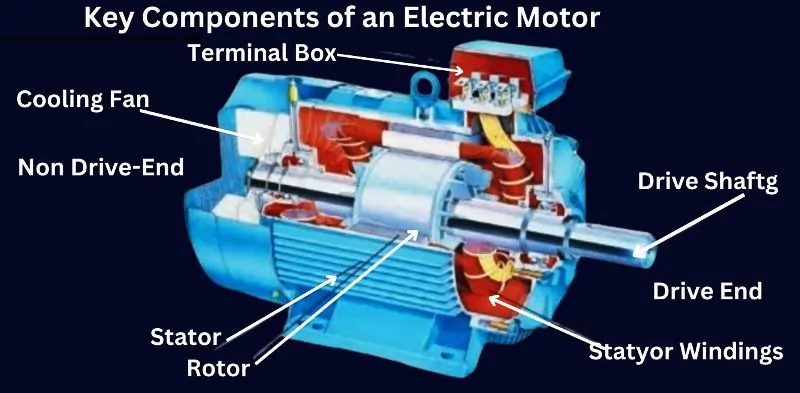 Key Components of an Electric Motor