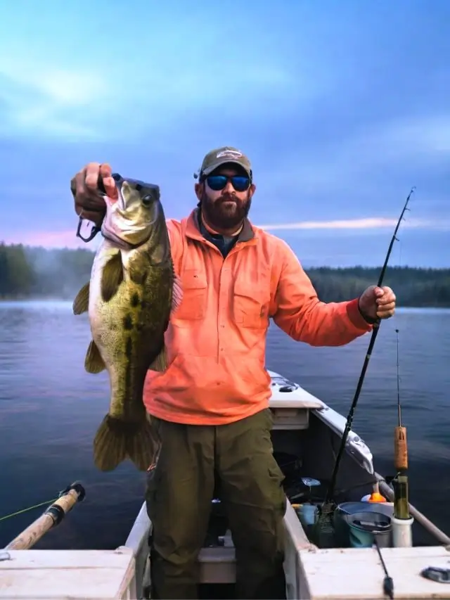 Bass Fishing: The Ultimate Guide