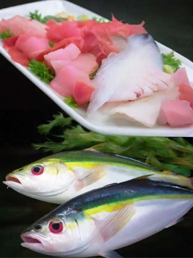 Hamachi Yellowtail: Culinary Delight
