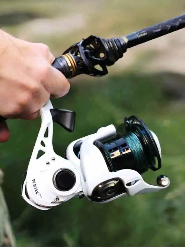 Fishing Reels: Top 10 Choices For Anglers » MARINE ENGINEERING AT