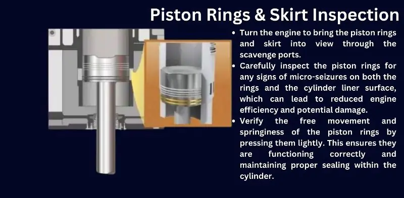 Piston Rings & Skirt