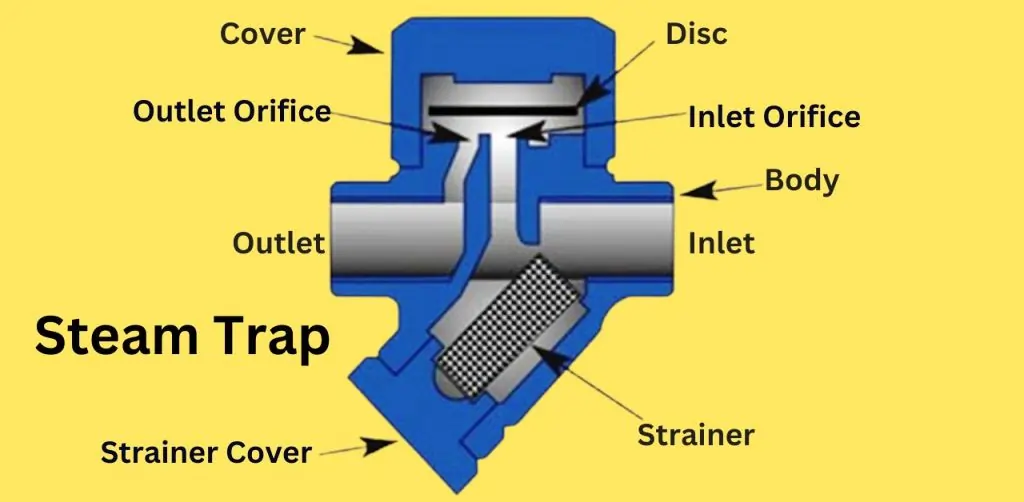 Steam Trap