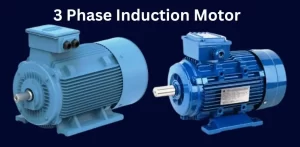 3 Phase Induction Motor