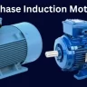 3 Phase Induction Motor