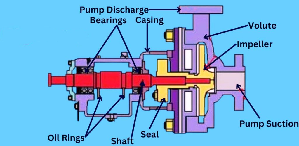 Key Components of a Centrifugal Pump